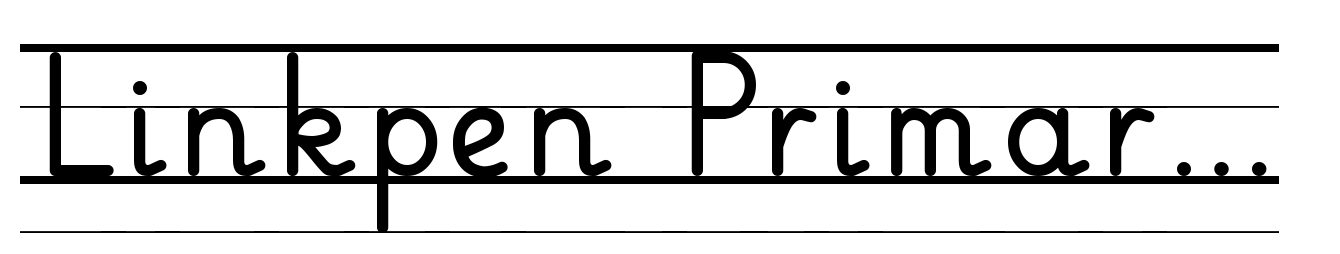 Linkpen Primary Print Guide Regular